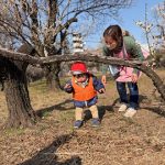 2月16日「梅の花見学に行ってきました」