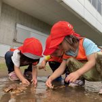 6月9日　「どろんこ遊びサイコー！」